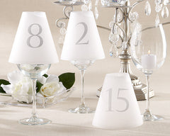 Elegant Vellum Shades Table Number Cards (Set of 1-15)