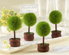 Topiary Photo/Place Card Holders